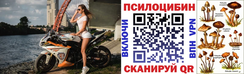 Галлюциногенные грибы MAGIC MUSHROOMS  купить закладку  Вилюйск 