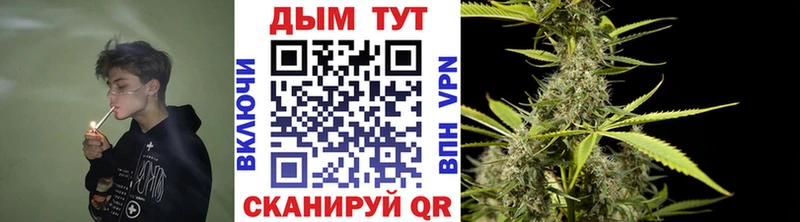 МАРИХУАНА план Вилюйск